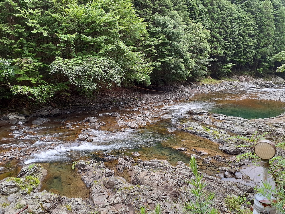 良いサイズの群れ鮎は見えますが、追い気のある鮎は見えず。