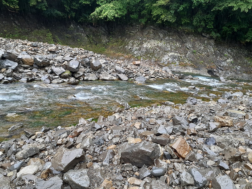 雨が呼び水になったのか、この瀬ではアタリが連発。