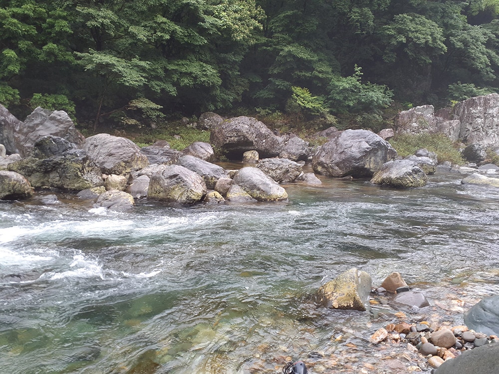 流心の白泡が切れかかる向こう側のタルミとの境で喰ってきました。