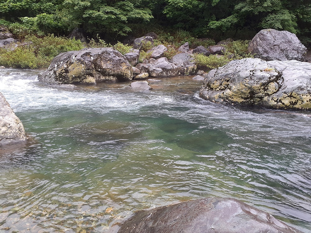 流心の白泡が消えかかるちょうどその下の底石の横で喰ってきました。