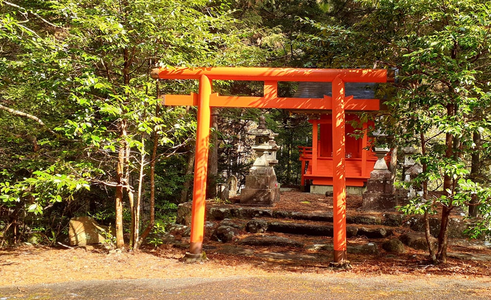 川から上がって、ストリートビューで気になっていた将軍神社へ。ストリートビューでは鳥居の足が折れて傾いておりましたが、既に修理されて鮮やかな朱色にお化粧直しもされていました。