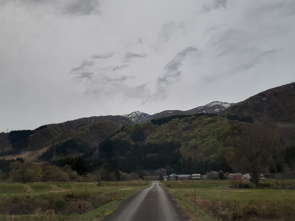 勝原園地へ通じる道からの荒島岳。まだタップリ雪が残っています。