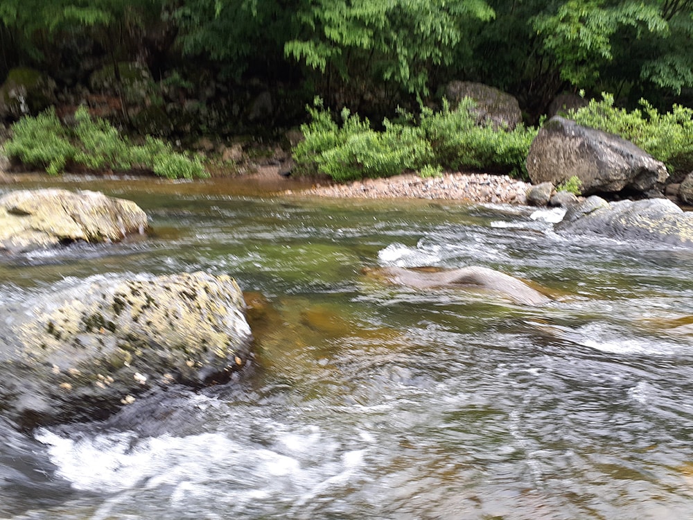 また少し釣り上がって、流れが複雑に組み合わさった場所へ。 また少し釣り上がって、流れが複雑に組み合わさった場所へ。