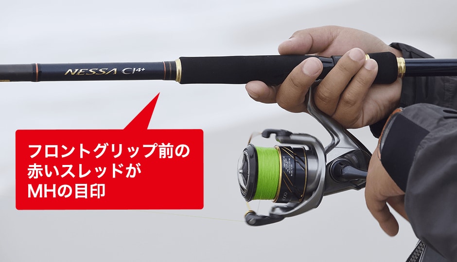 NESSA CI4+をフル活用！堀田流サーフゲーム理論 | SHIMANO シマノ