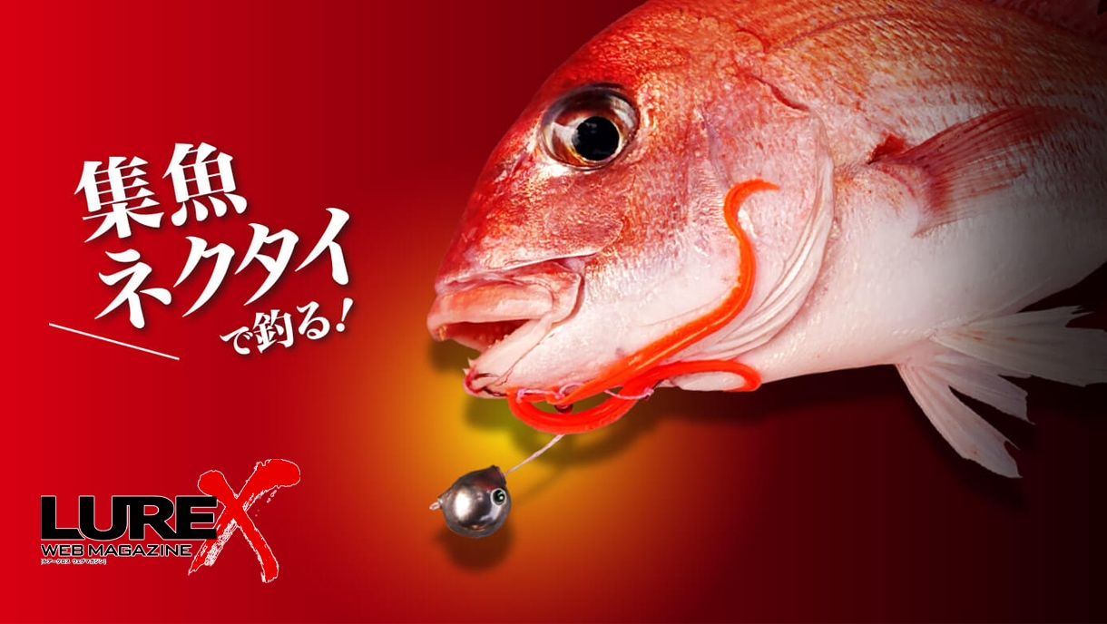【集魚ネクタイで釣る！】赤澤康弘流 鯛ラバ指南 | SHIMANO シマノ