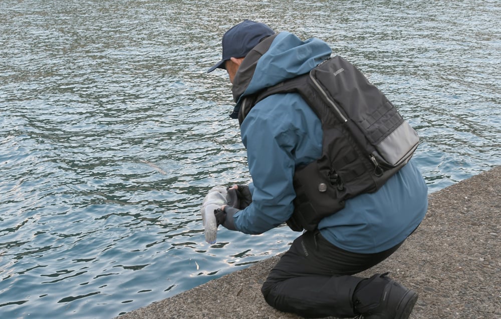 釣れた魚は丁寧にリリースした