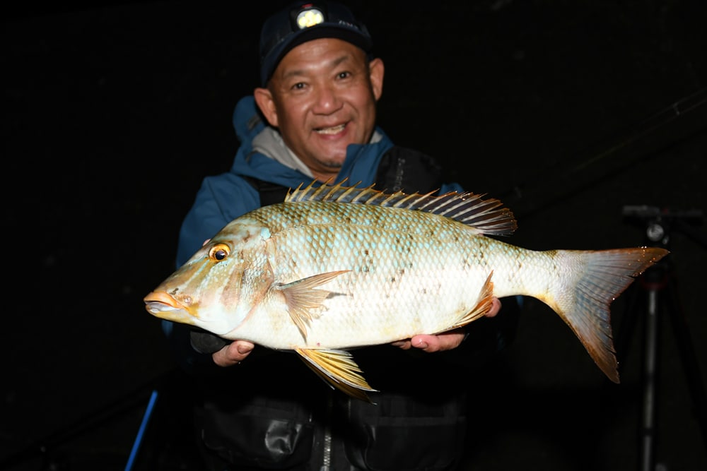 初日の夜から本命タマンが登場！