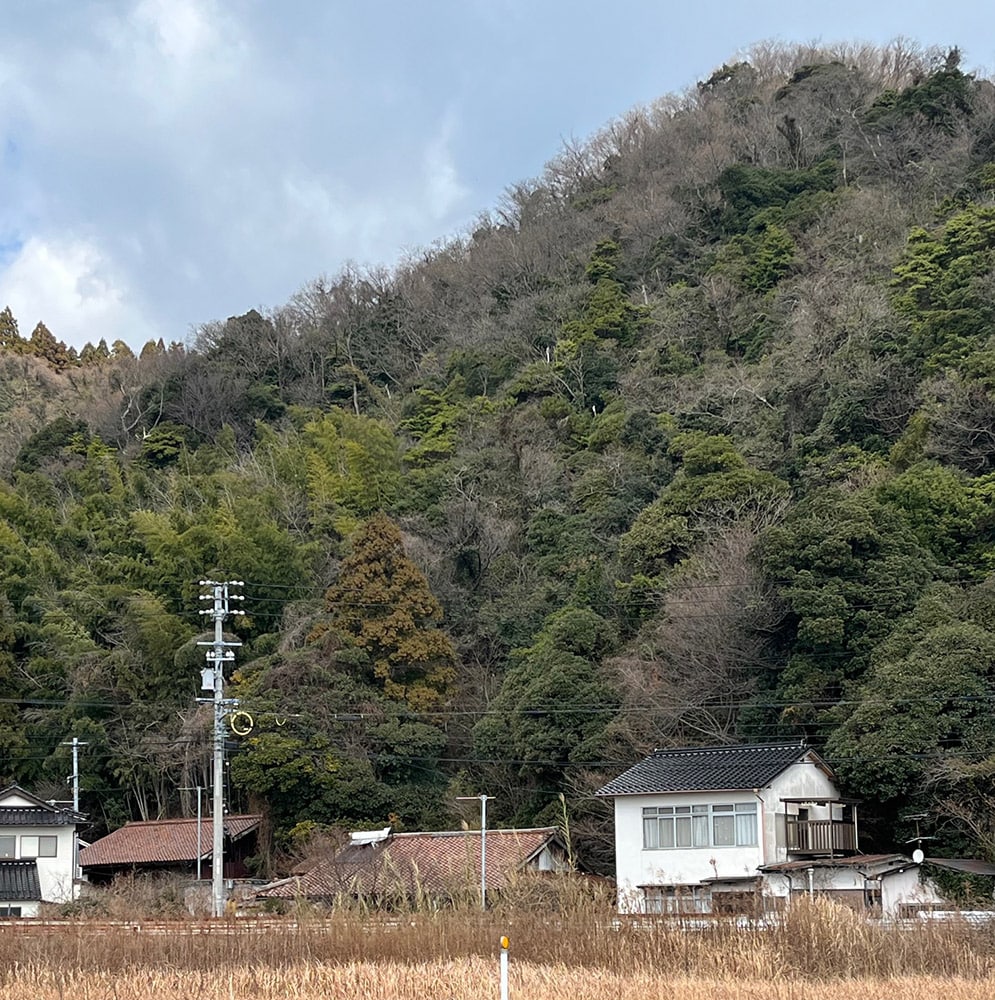 このポイントは、背後に高い山があるので、強く吹く西寄りの強風下においても、非常に快適にキャスト出来ます。