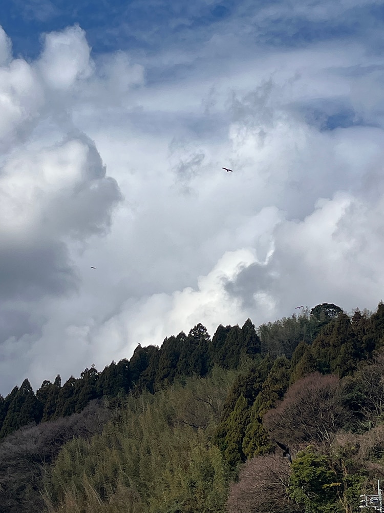 背後の山の上空では、数羽のトンビが気持ちよく飛んでおり、私たちを応援してくれているようです。