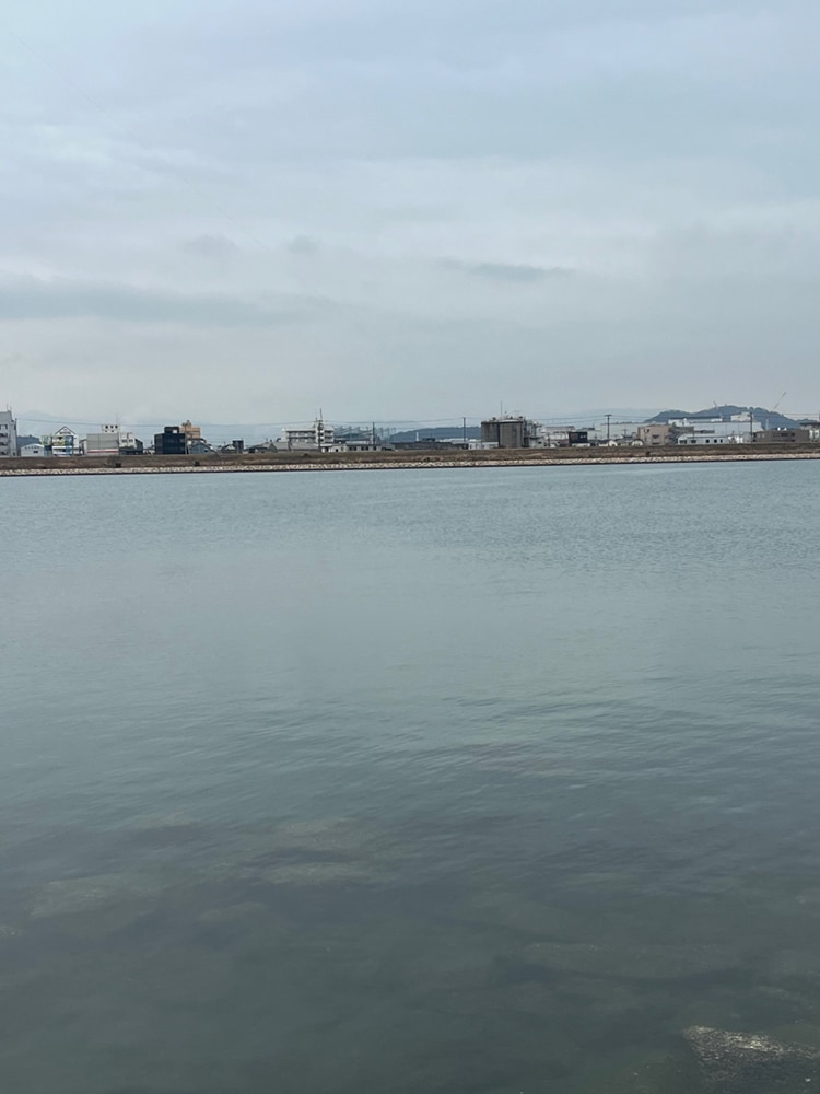 前回のコラムでもご紹介致しましたが、河口でのキチヌが好調なので、自分自身の中では、「春のキチヌゲーム最終戦」として、和歌山市の紀ノ川河口に再び釣行して来ました。 前回のコラムでもご紹介致しましたが、河口でのキチヌが好調なので、自分自身の中では、「春のキチヌゲーム最終戦」として、和歌山市の紀ノ川河口に再び釣行して来ました。