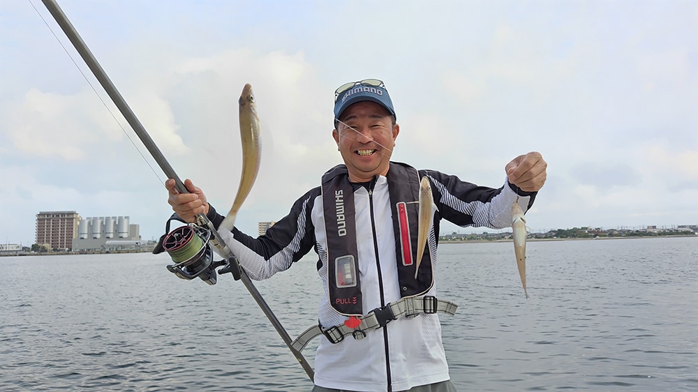 20cmを超えるシロギスの3連です!絶好調です! 20cmを超えるシロギスの3連です!絶好調です!