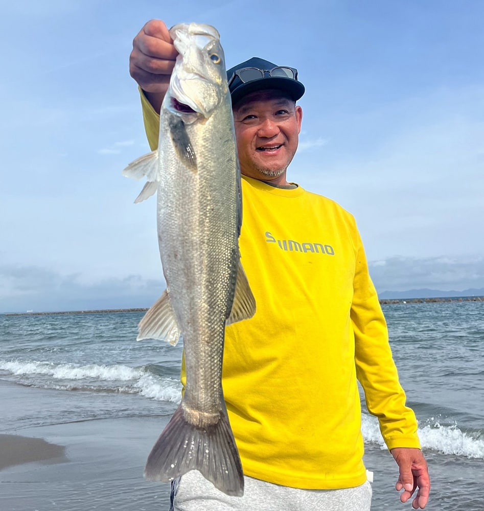 シロギスはイマイチの釣果でしたが、同じタックル・同じ仕掛けで、60センチクラスのシーバスを仕留める事が出来ました。 シロギスはイマイチの釣果でしたが、同じタックル・同じ仕掛けで、60センチクラスのシーバスを仕留める事が出来ました。