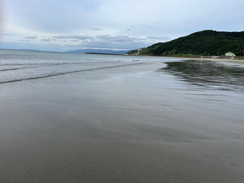 潮が干潮間近になり、ハリ掛かりするシロギスの数が減って来ました。