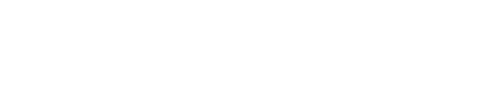 BeastMasterMD3000