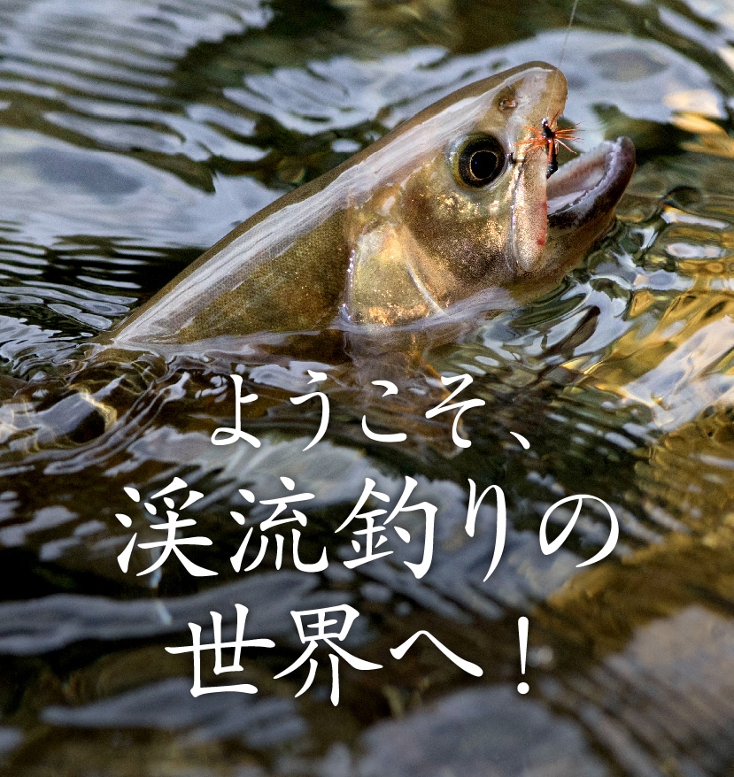 渓流魚と生息域 | ようこそ、渓流釣りの世界へ！ | シマノ -SHIMANO-