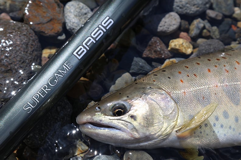 木曽谷の本流アマゴに挑む（前編）