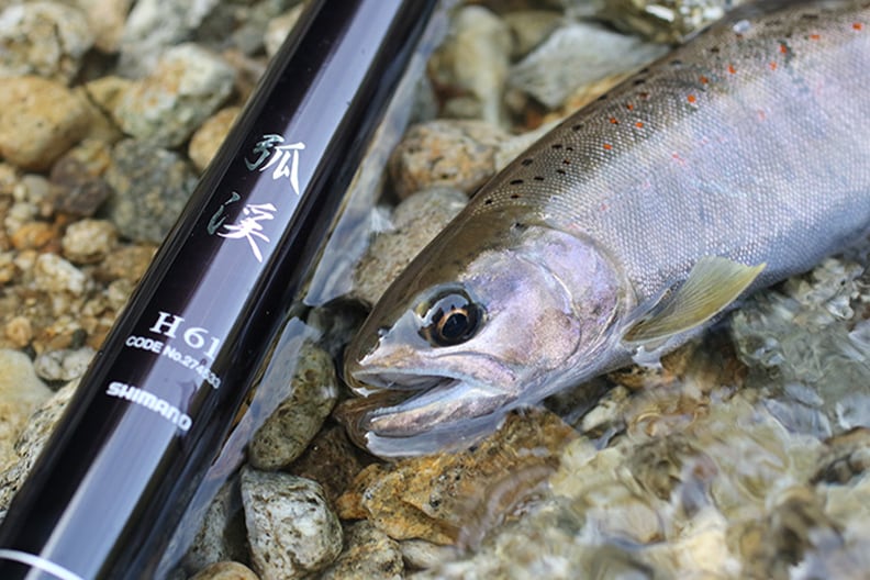 “本調子”で楽しむシーズン終盤の木曽アマゴ（前編）
