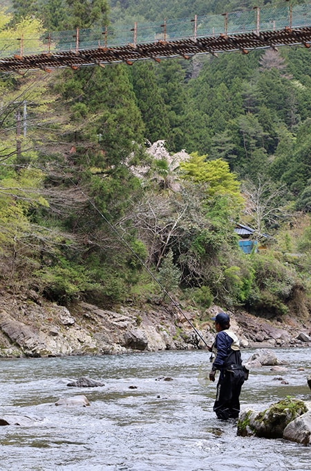 やがて温泉橋の上流、吊り橋近くまで釣り上がってきた。膝下程度の浅場が続くエリアだが、ちょっとした流れの変化を攻めていく。