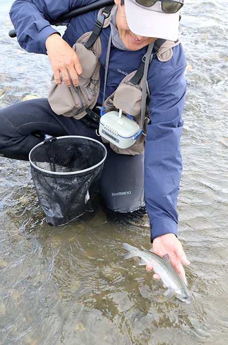 続けざまに同サイズのニジマスをキャッチ。この魚をリリースしたところで初日の釣りを終えることにした。