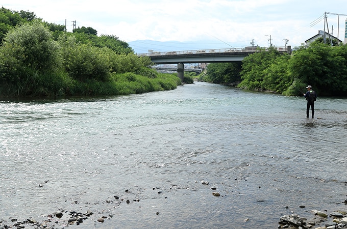 まず最初に入ったのは奈良井川と田川の合流部。こんな市街地のど真ん中で大型のニジマスやブラウントラウトが喰ってくる。