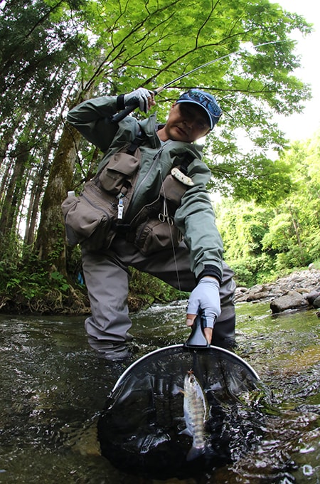 ようやく納得サイズのヤマメが喰ってきた。丸々とした魚体。勝木川の豊かさがうかがえる。