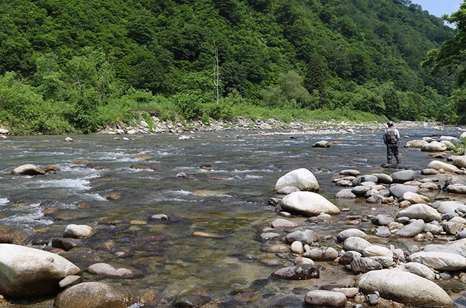 広い川の中には小さな筋がいくつも存在する。小さなポイントを丁寧に攻められる操作性は、小継竿の特権ともいえるものだ。