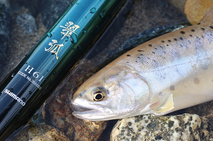 竿は近場における我妻さんのメインロッドである『翠弧H61』。曲げ込むほどに粘る本調子は大型への対応力が高く、ちょっとした本流でも問題なく使えるとのこと。
