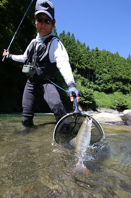 続けざまに先と同クラスのアマゴがヒット。増水後の引き水。アマゴの活性はまずまずだ。