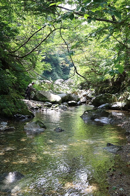 今回は越中富山のイワナと遊ぶ旅。初日は大長谷川で竿を出した。