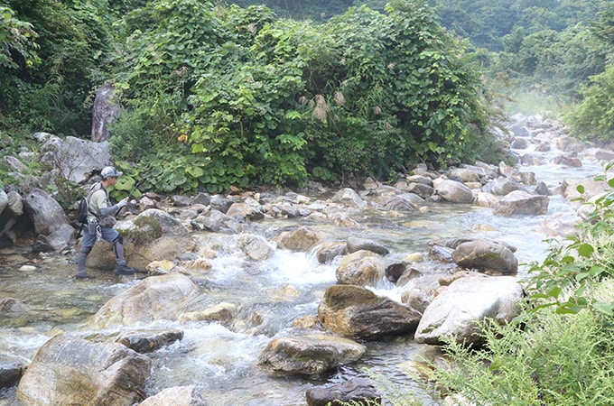 開けた渓流域から釣りをスタート。朝もやの中、軽快に竿を振る。