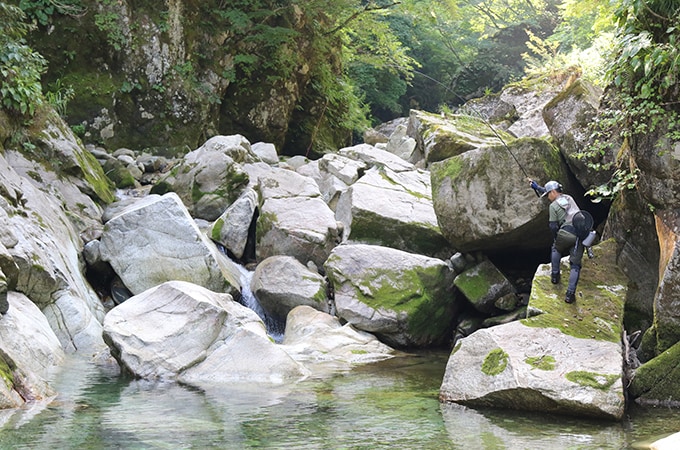 畳半畳ほどの小さなタナでイワナが喰ってきた。場所が場所だけに無理はできない。慎重にやり取りを繰り返す。