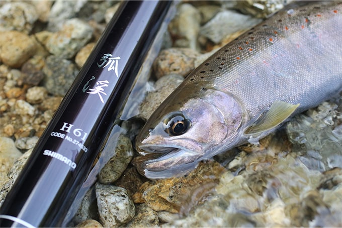 今回は出来上がったばかりの『弧渓』を携えての木曽谷釣行。狙いは産卵を控えたシーズン後期のアマゴである。