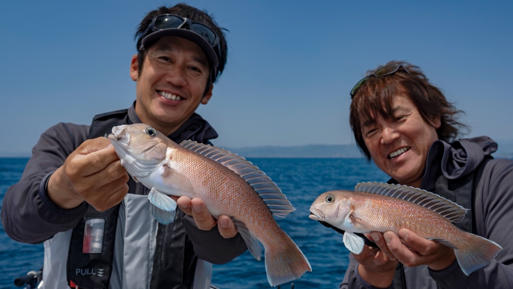 紀州田辺でシロアマダイ乗合が始まって2シーズン。和歌山でも突出した魚影の濃さを誇る 紀州田辺でシロアマダイ乗合が始まって2シーズン。和歌山でも突出した魚影の濃さを誇る