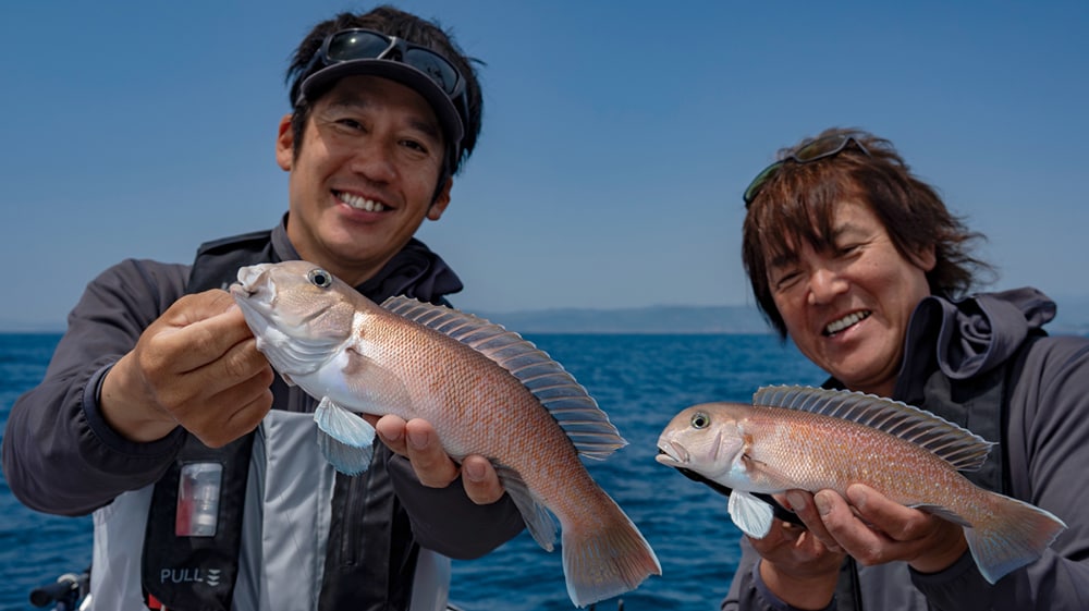 紀州、和歌山のシロアマダイ 紀州、和歌山のシロアマダイ