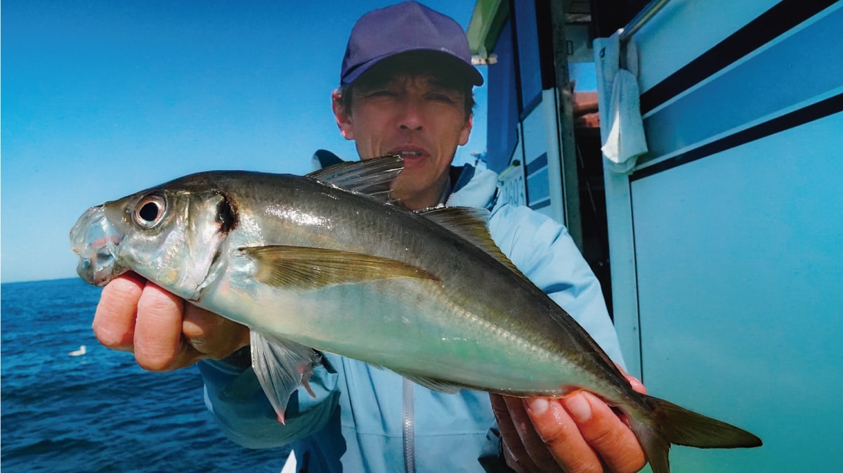 三浦半島・走水のビシアジ。ときめきと妄想のコマセ釣り。 | SHIMANO