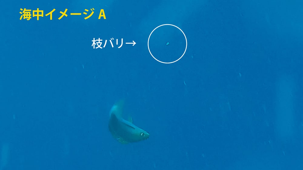 先バリに掛かると幹糸が張り、枝バリが踊って誘い効果が増す。