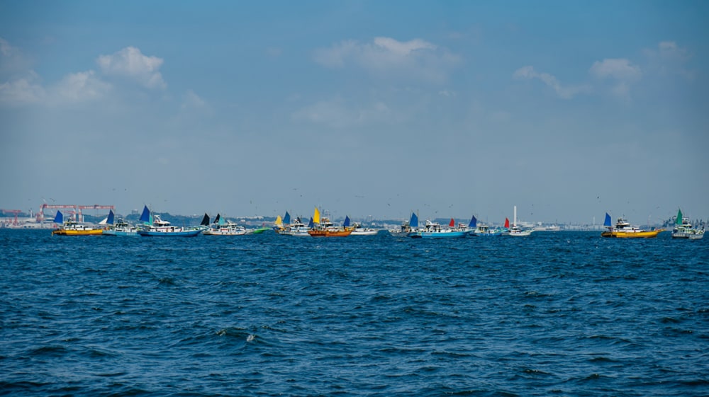 釣り方ごとにポイントも変わってくる東京湾。これはテンヤ船団と言っていい。