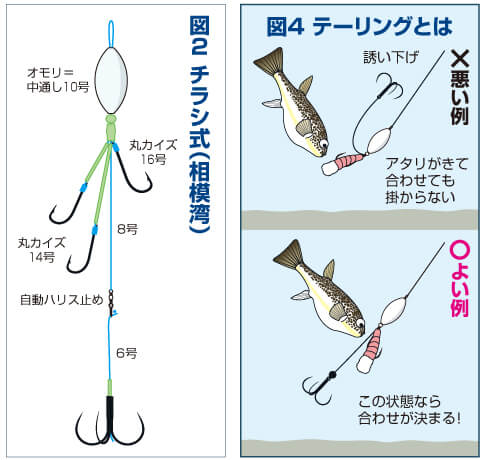 鈴木流湾フグ釣法 タックル仕掛け編 スナイパーの極意 シマノ Shimano