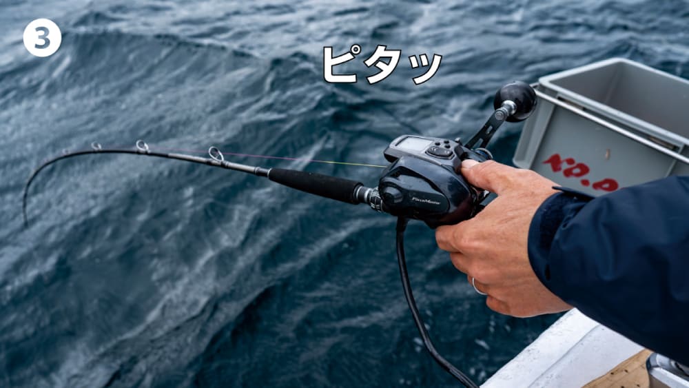 【攻略1】ビシダナを上げて待機して落し込みで誘う 【攻略1】ビシダナを上げて待機して落し込みで誘う