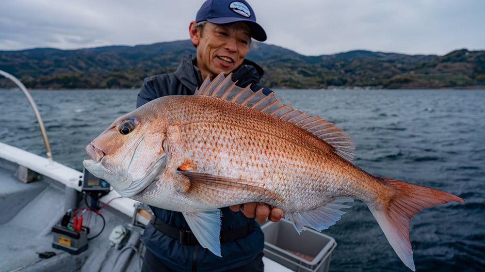 乗っ込みマダイ〜駿河湾沼津久料港出船〜 乗っ込みマダイ〜駿河湾沼津久料港出船〜
