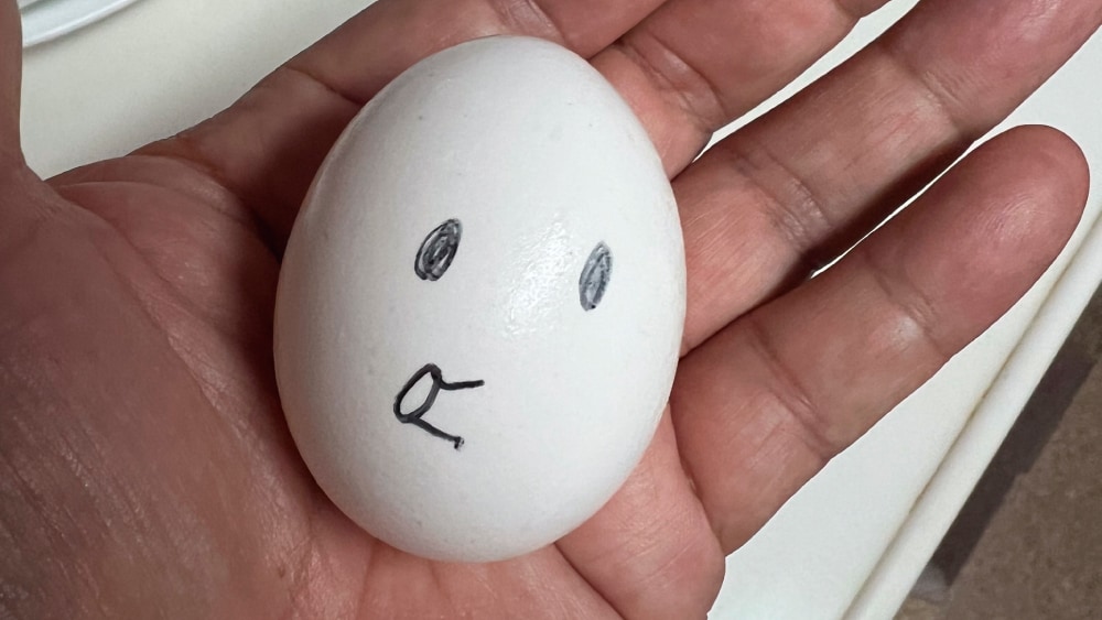 100gのマダコの目安は頭が鶏の卵ほどの大きさ