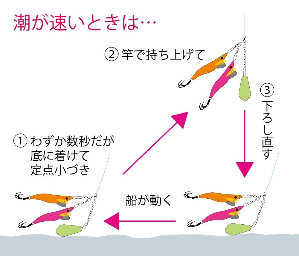 2杯目は逆に速潮の中、エギ2本仕掛けで短い定点小づきを繰り返して（下図参照）キャッチした。