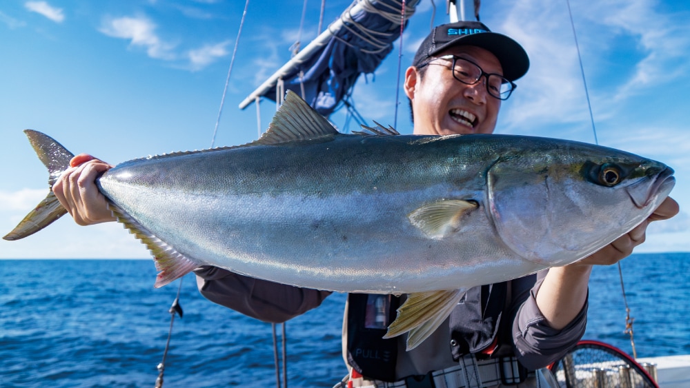 2ノットの速潮とともに疾走、巻いては出されての末に取り込んだのは丸々太ったブリ