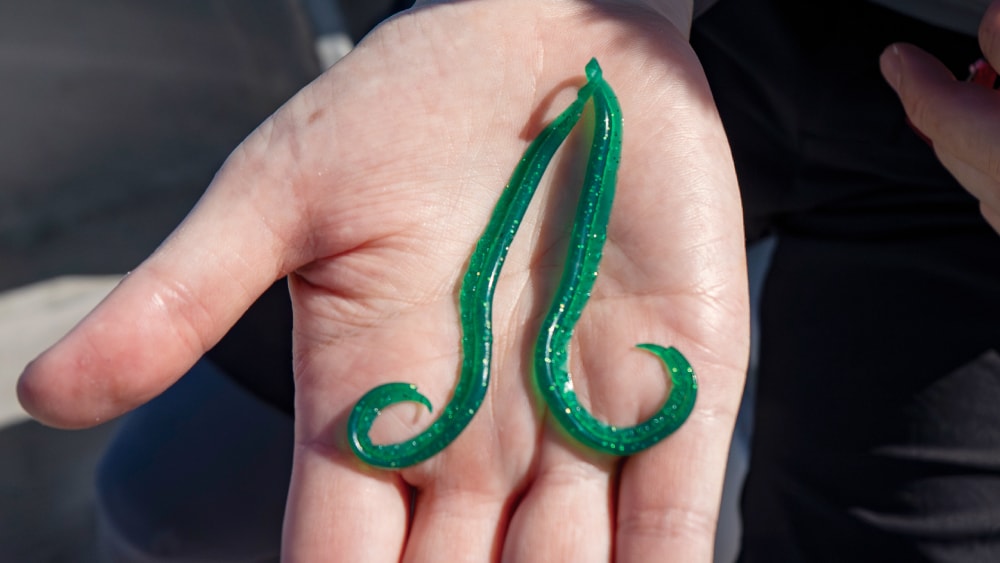 外海はボリュームを出したほうが良いはずと使用したのが炎月イカタコカーリー71mmグリーンラメ。これが効いた