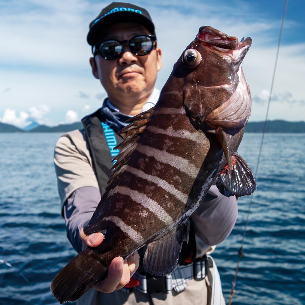 マハタを始めハタ類の魚影も濃い