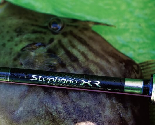 カワハギ釣りが見えてくるステファーノ XRの実力 | SHIMANO シマノ
