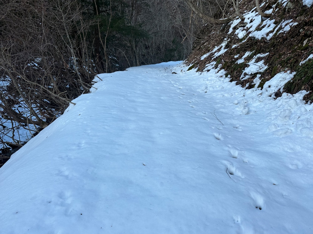 人の歩いた形跡がない雪道。まっさらな雪の上を進んでいくたびに期待感が高まります。