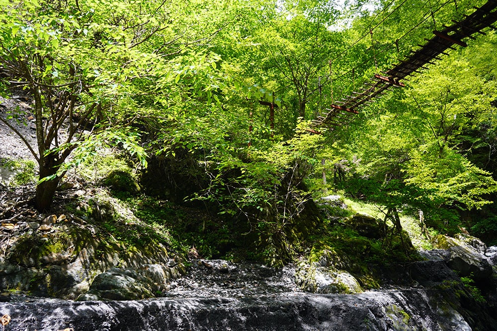 かつての登山道だろうか。至る所に荒廃した人工物が散見された。