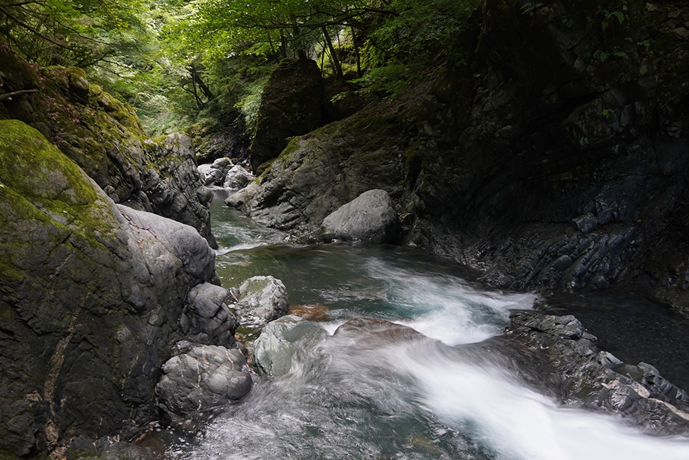 気付くと頭上を木々が覆い、先ほどまでの砂利交じりの渓相から雰囲気が変わっていく。