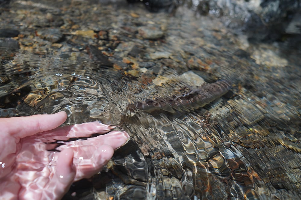 渓魚は写真を撮ったら全てキャッチ&リリース。末永くこの釣りを愉しみたい。